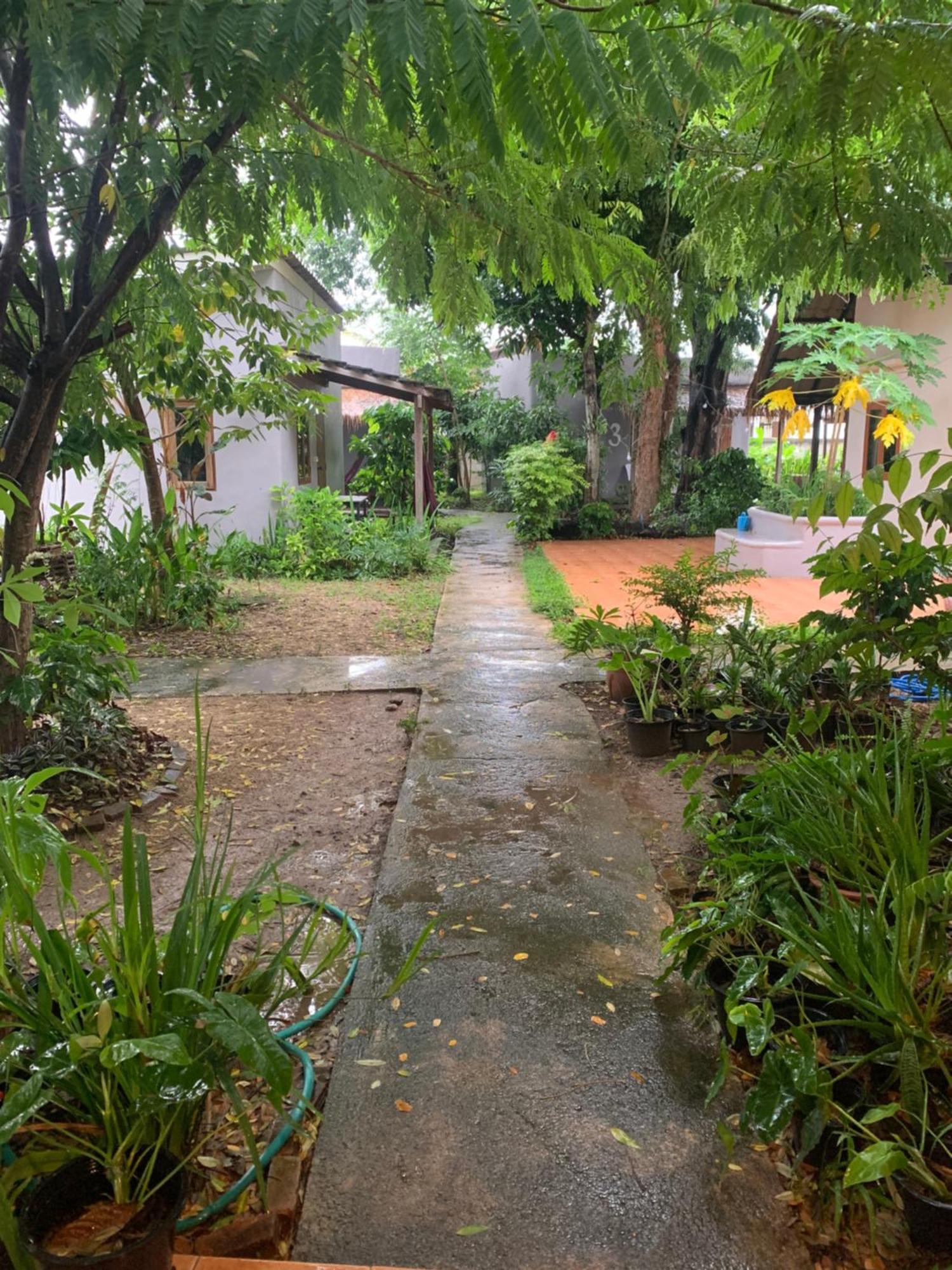 บ้านใจแปงโฮมสเตย์ Ban Jaipang Homestay باي المظهر الخارجي الصورة