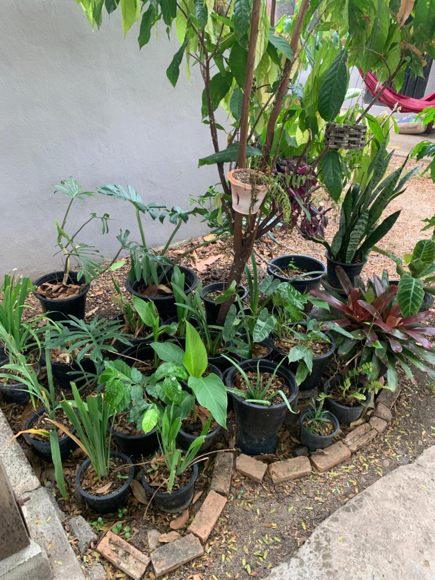 บ้านใจแปงโฮมสเตย์ Ban Jaipang Homestay باي المظهر الخارجي الصورة